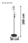 Roche G9x6'lı Glop Camlı Siyah Metal Köşe Lambader Roche G9x6'lı Glop Camlı Siyah Metal Köşe Lambader